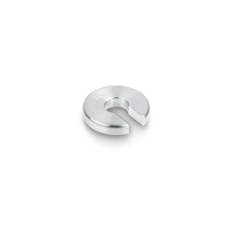 10g Peso de la ranura OIML Clase M1