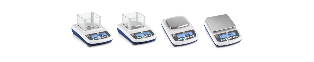 Balanza de precisión KERN PFB