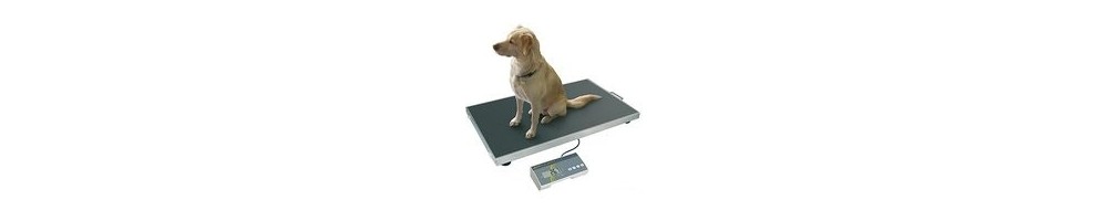 Básculas veterinarias para animales fáciles de usar con tecnología robusta